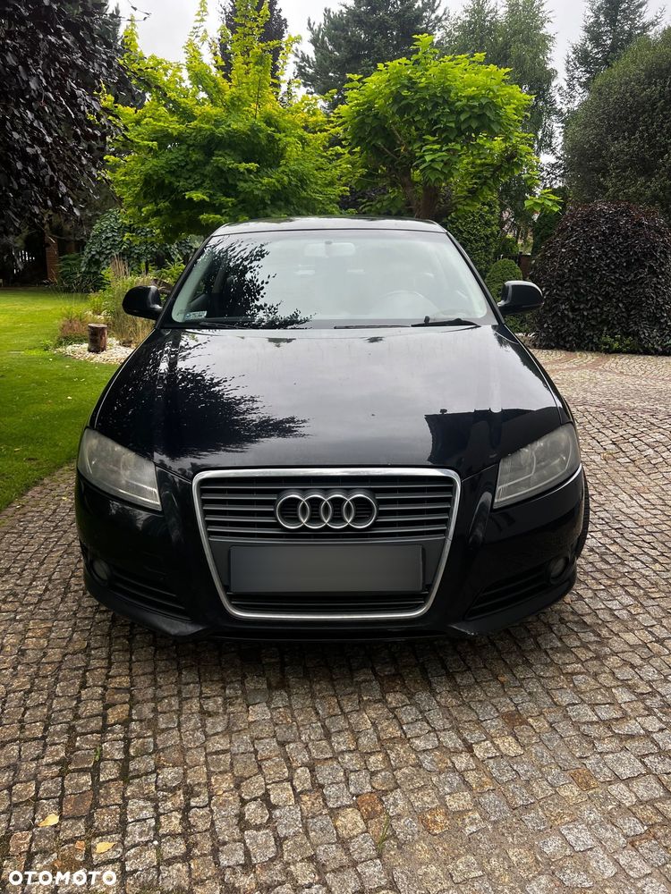 Audi A3 3-drzwiowe - 1