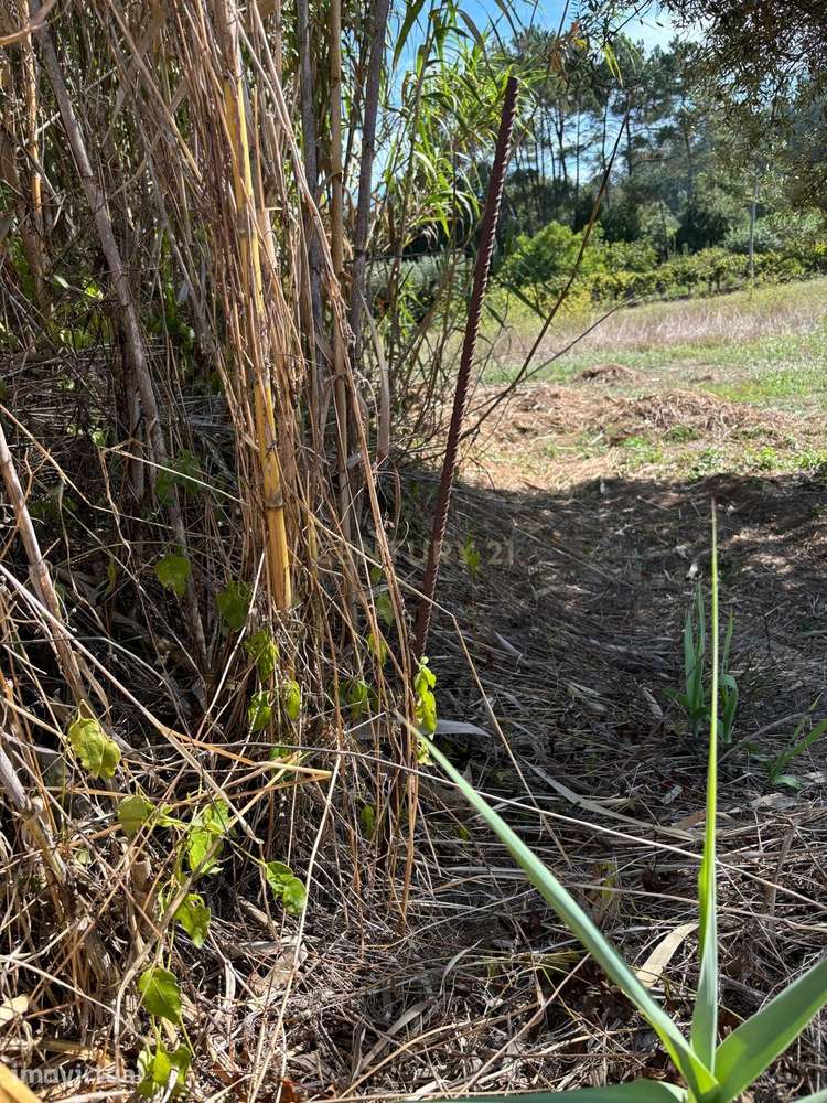 Terrenos com viabilidade construtiva em Pipa - Vila Cã, Pombal - Grande imagem: 5/23