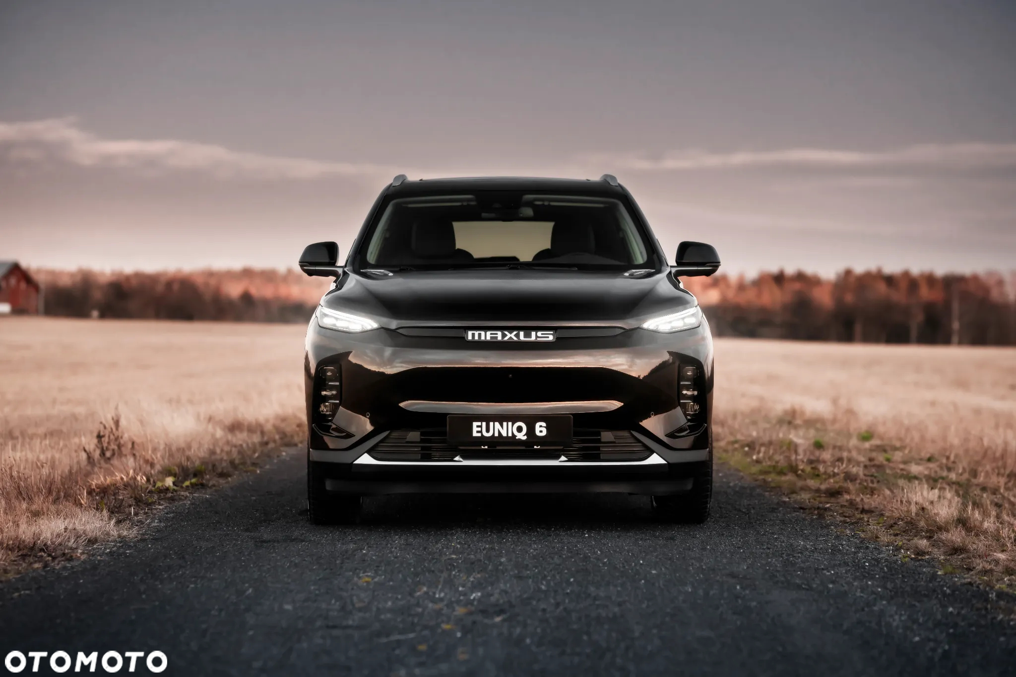 Maxus Euniq 6 - 6