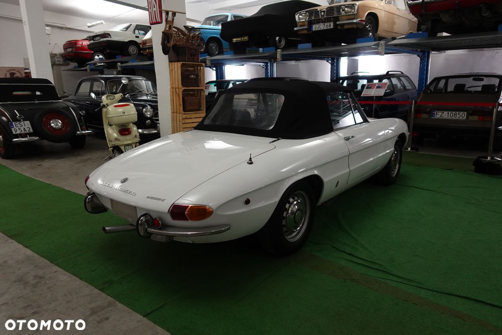 Alfa Romeo Spider - 5