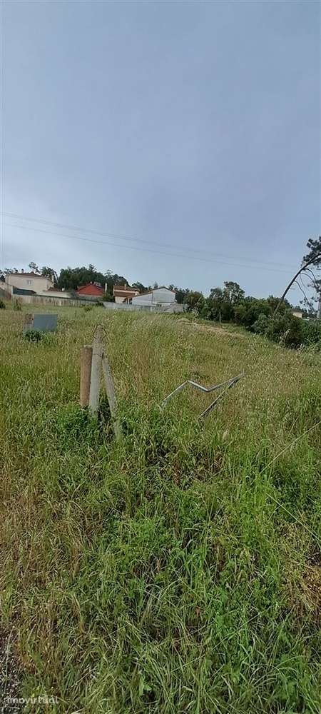 Terreno Para Construção  Venda em Amor,Leiria - Grande imagem: 4/6