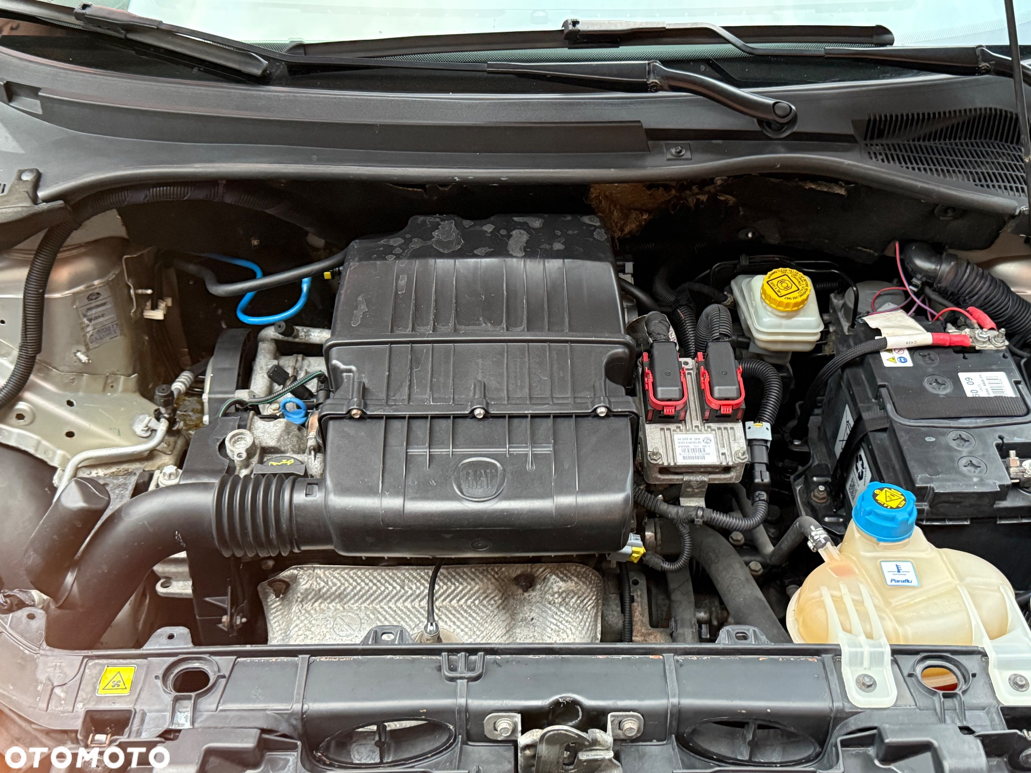 Fiat Punto Evo - 23