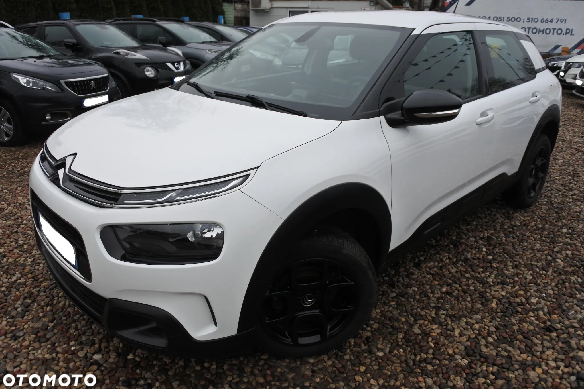 Citroën C4 Cactus Pure Tech 110 Stop&Start Shine - 2