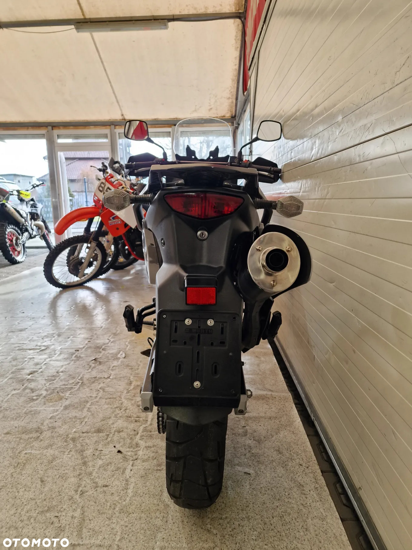 Suzuki DL - 11