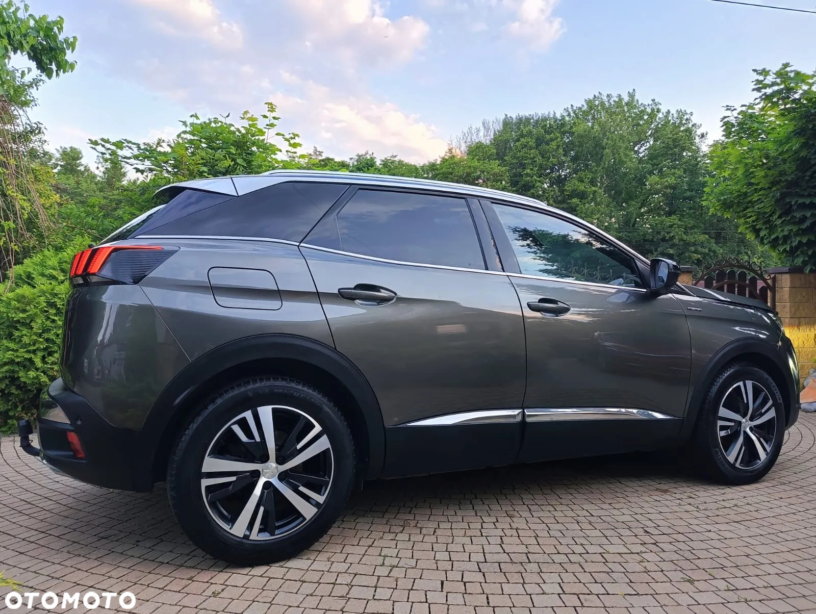 Peugeot 3008 - 18