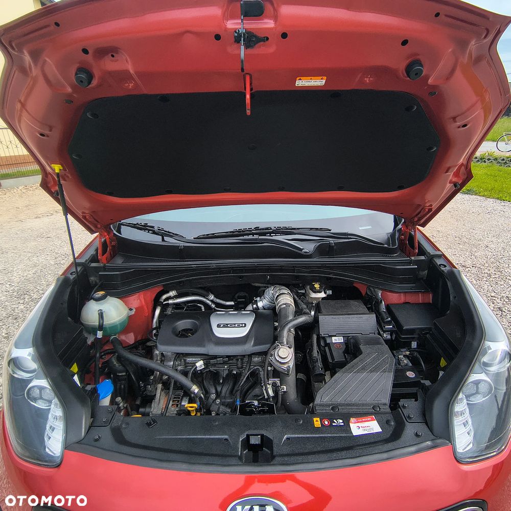 Kia Sportage 1.6 T-GDI Business Line 4WD DCT - 35