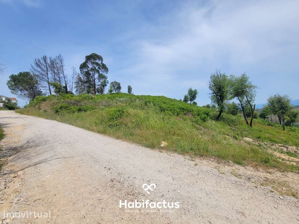Terreno à venda com Vista Deslumbrante – Cabanas do Viriato, Carregal - Grande imagem: 2/4