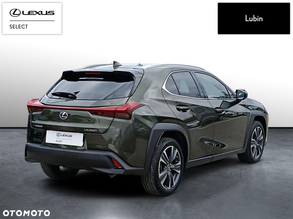 Lexus UX 250h GPF Business 2WD - 6