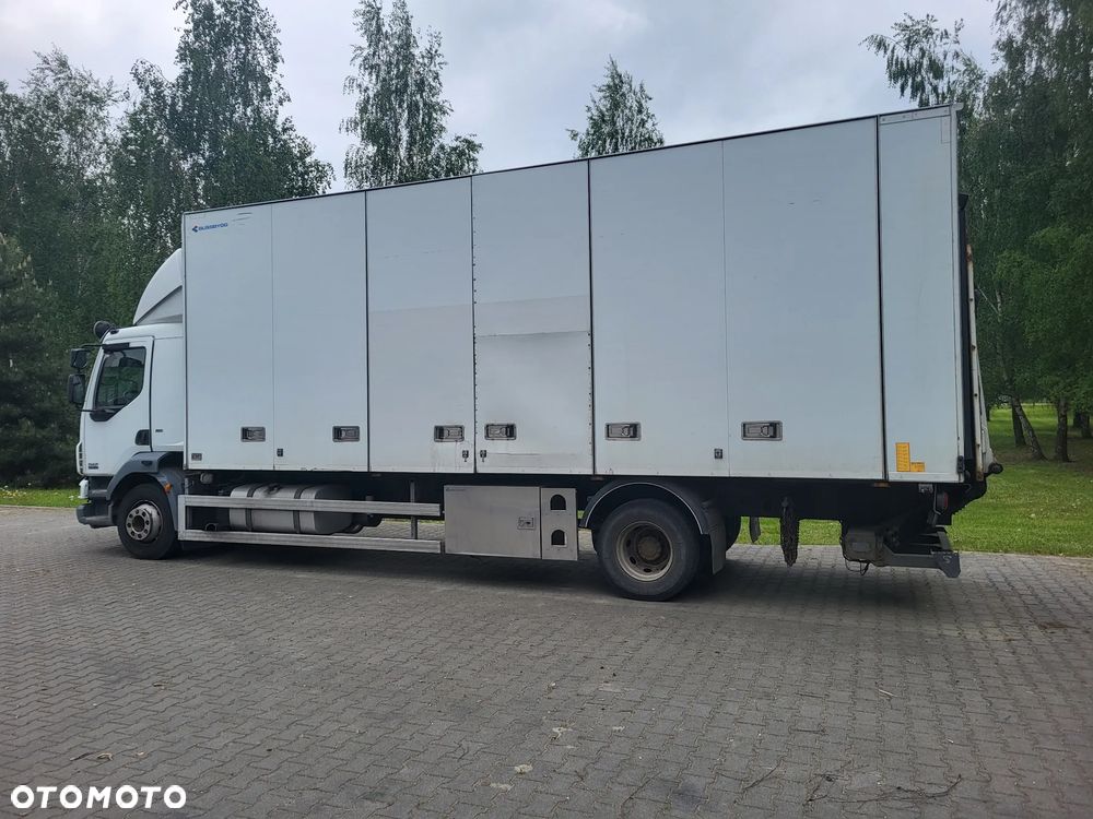 DAF LF 55.250 - 2
