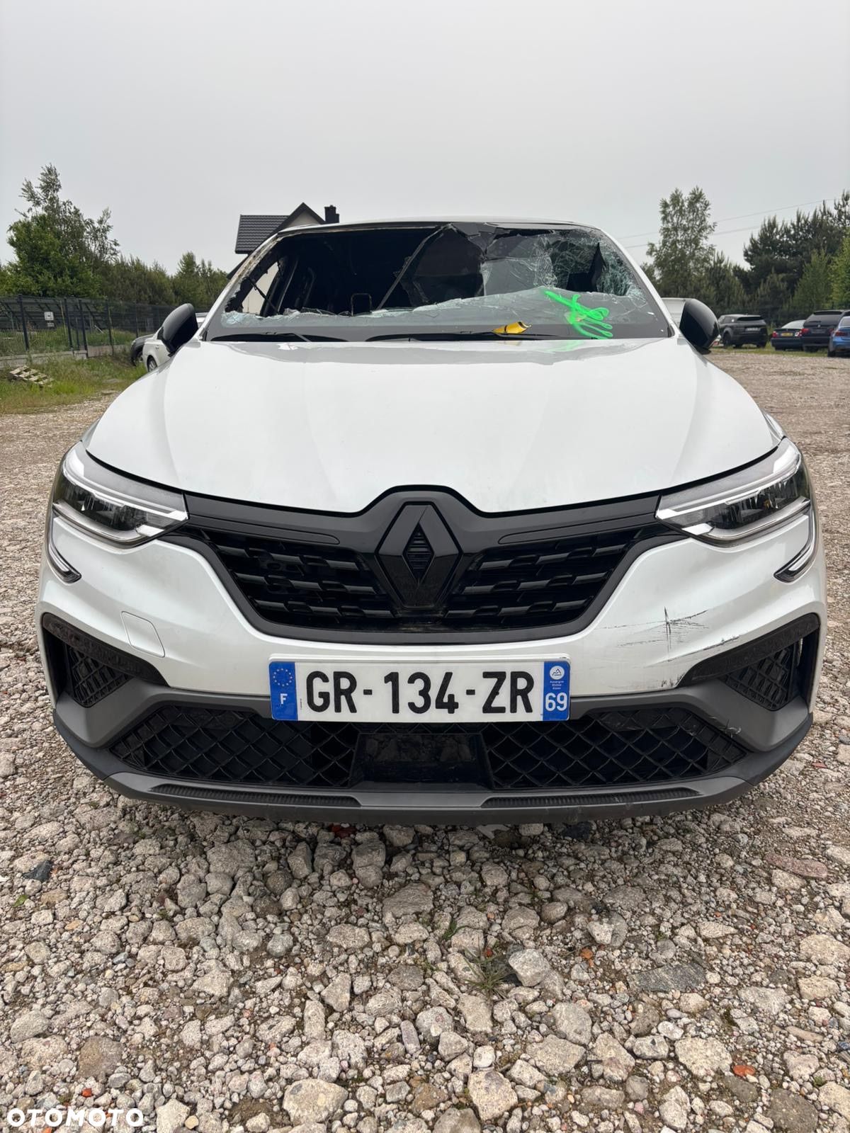 Renault Arkana 1.3 TCe mHEV Intens EDC - 1