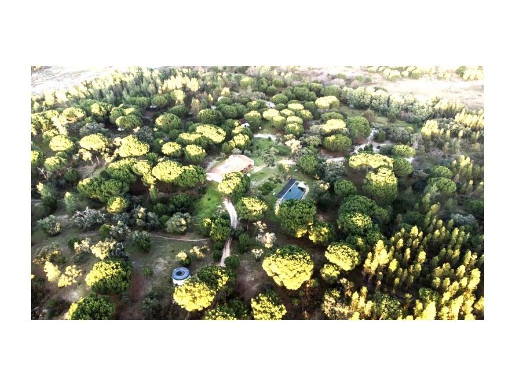 Monte Alentejano com 8,2 Hectares - Um Paraíso de Natureza e Sereni... - Grande imagem: 2/60