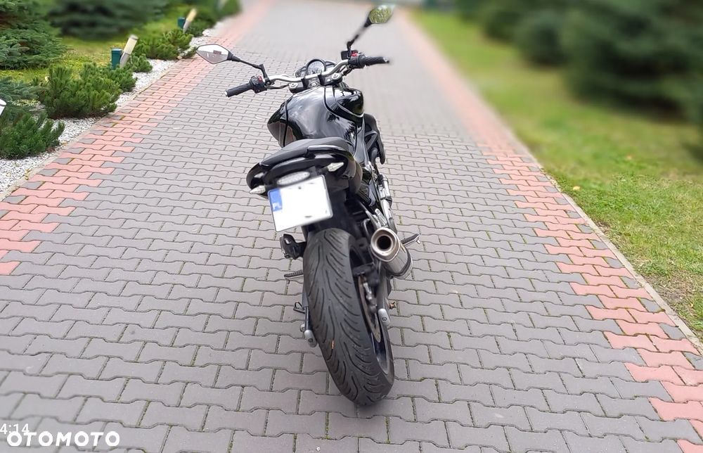 Suzuki Gladius - 9