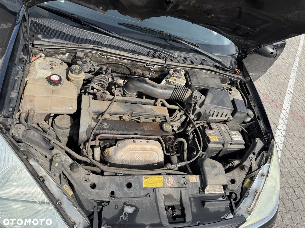 Ford Focus - 14