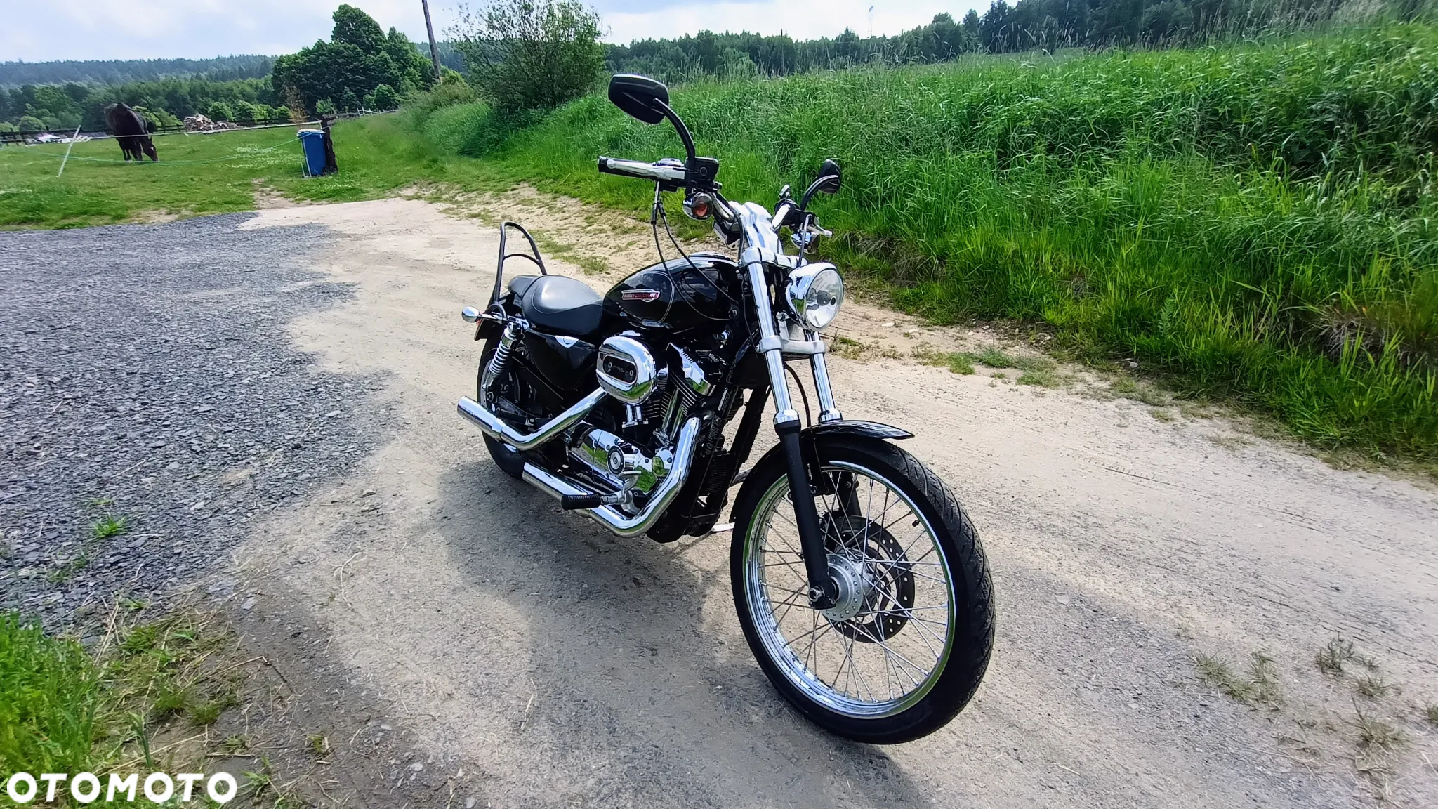 Harley-Davidson Sportster Custom 1200C - 3