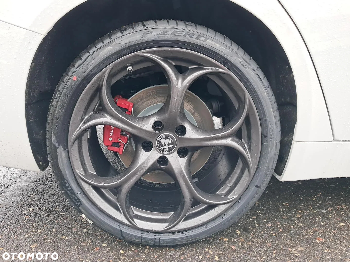 Alfa Romeo Giulia 2.0 Turbo Tributo Italiano Q4 - 19