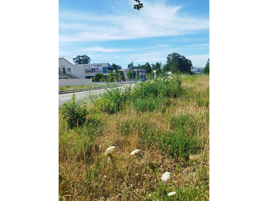 Terreno para Construção - Gandra, Valença - Grande imagem: 4/8