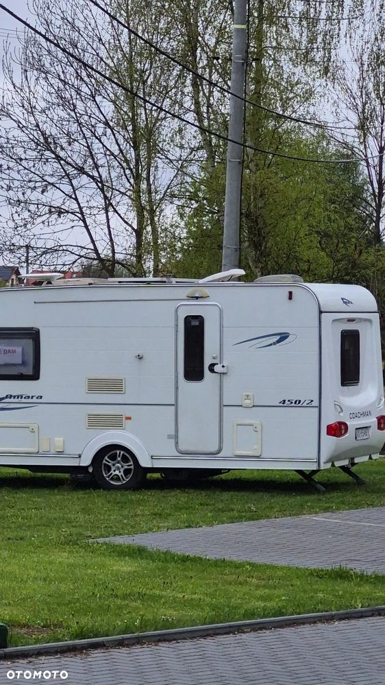 Coachman Amara - 9