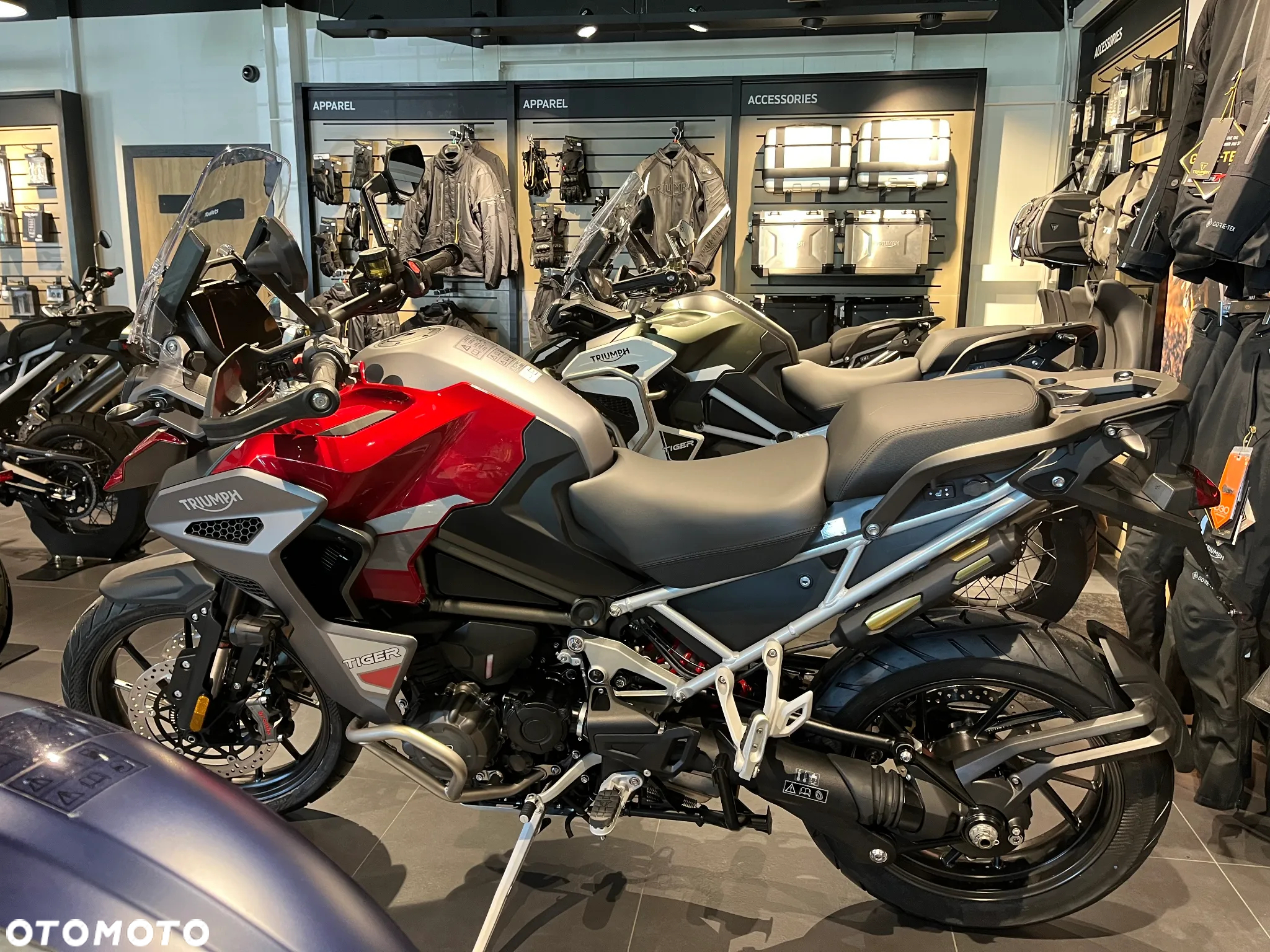 Triumph Tiger - 7