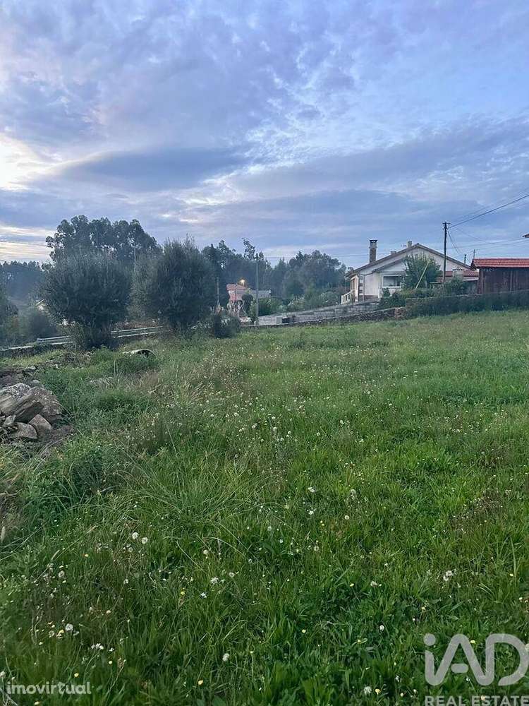 Terreno Agrícola em Fornelos e Queijada - Grande imagem: 3/3