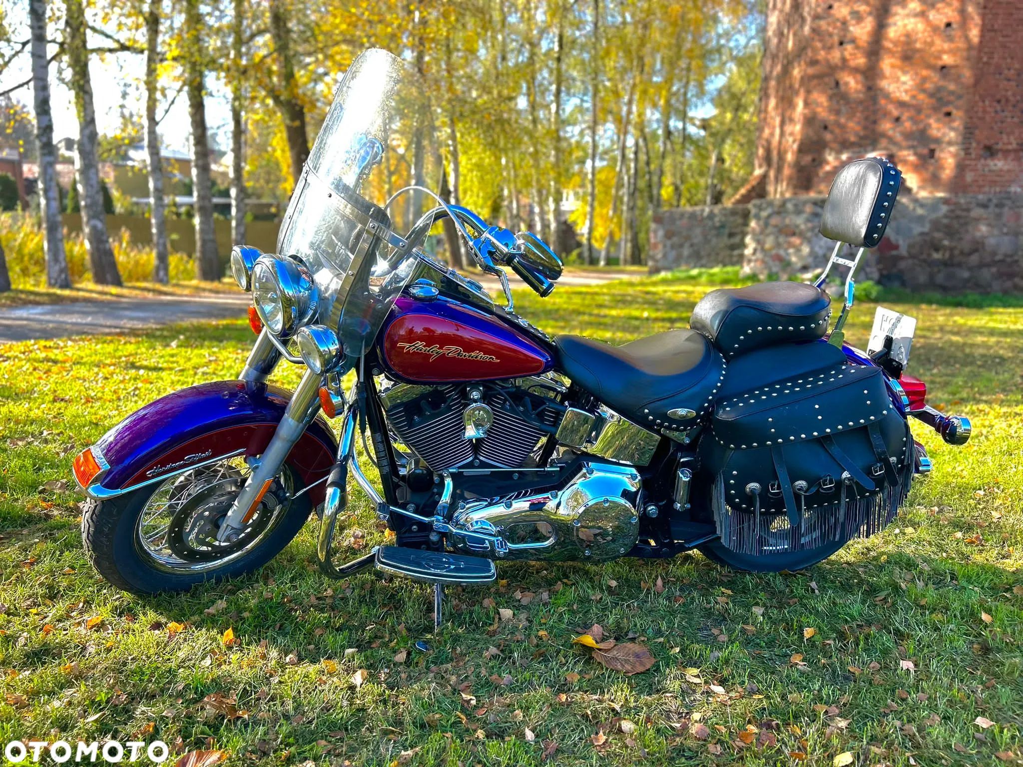 Harley-Davidson Softail - 1
