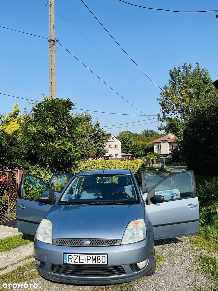 Ford Fiesta 1.4 TDCi - 10