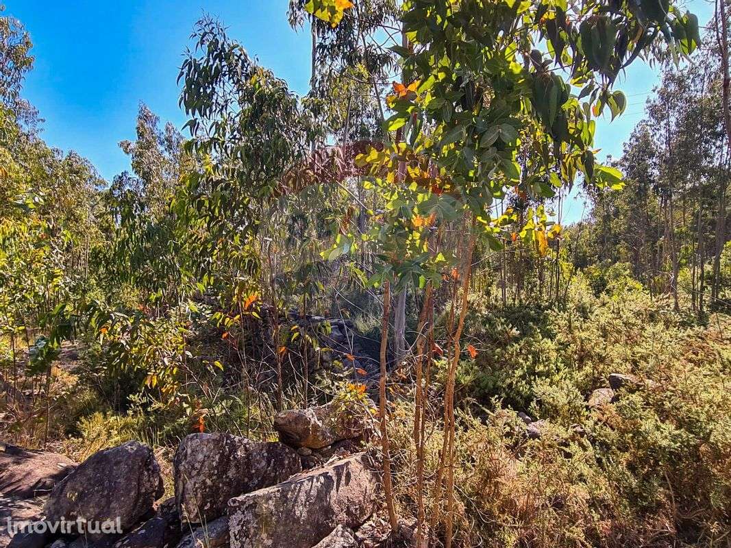 Terreno  para venda - Grande imagem: 2/6