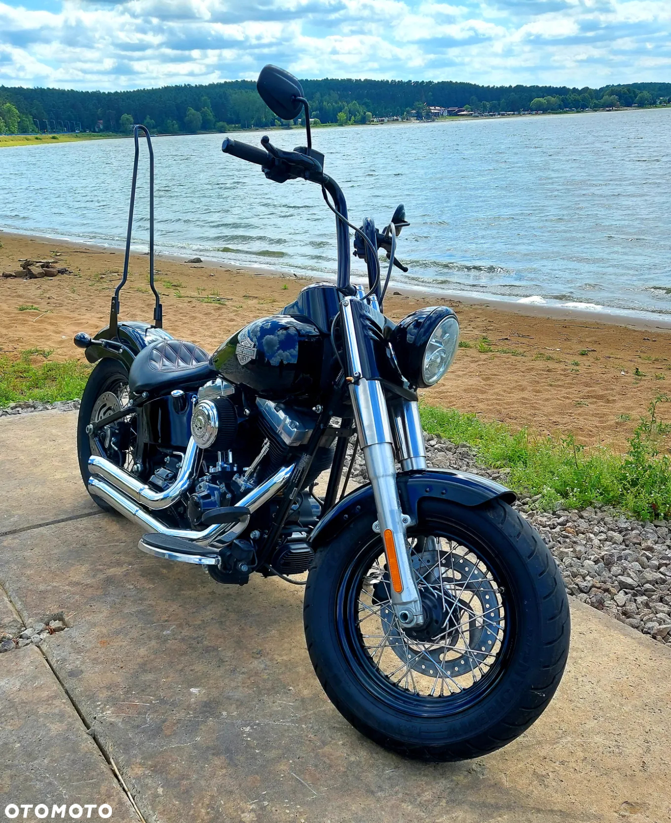 Harley-Davidson Softail Slim - 5