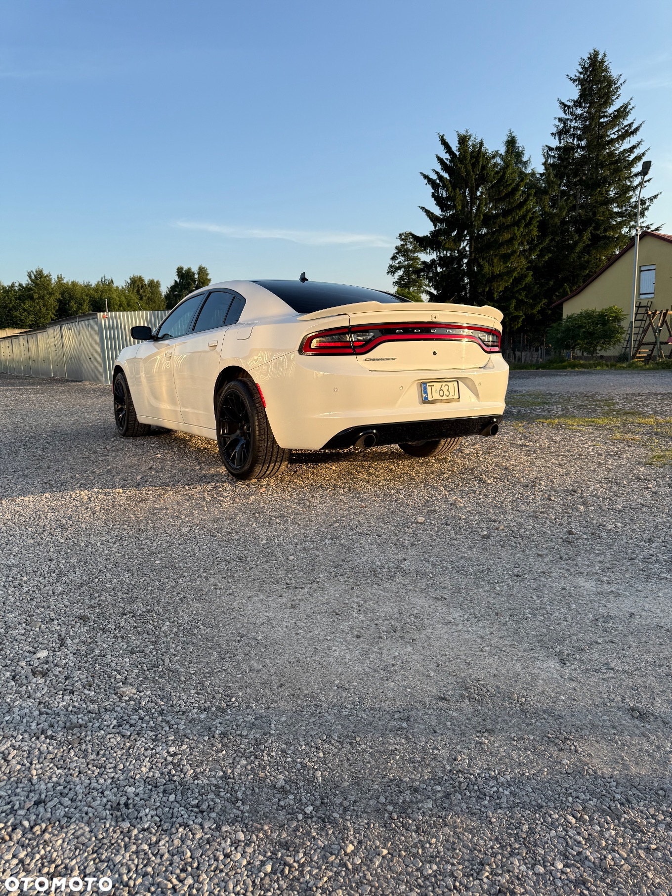 Dodge Charger - 16