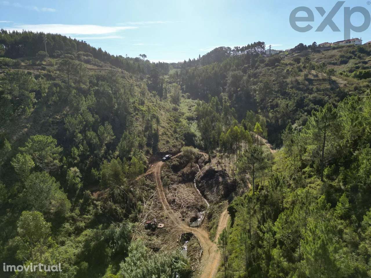 Quinta do Castanho - Grande imagem: 4/21