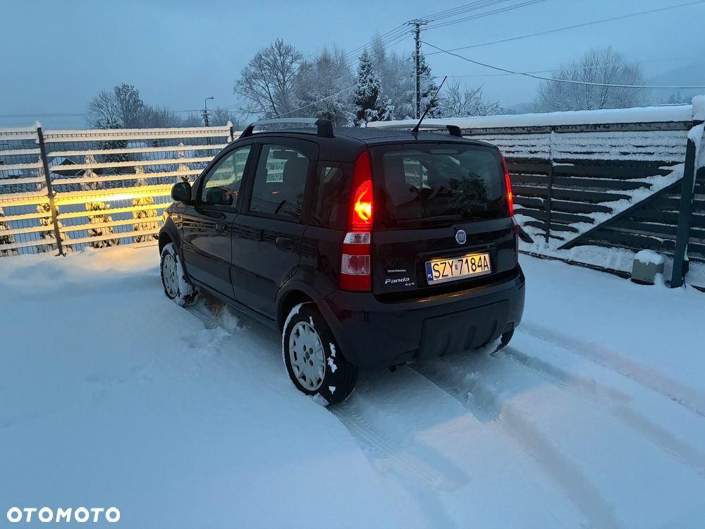 Fiat Panda 1.2 4x4 Climbing - 5