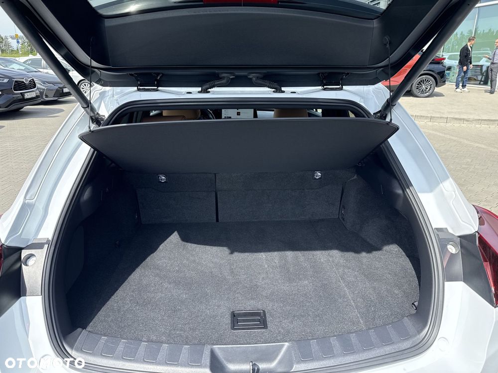 Lexus UX 250h GPF F Sport Design+ 2WD - 13