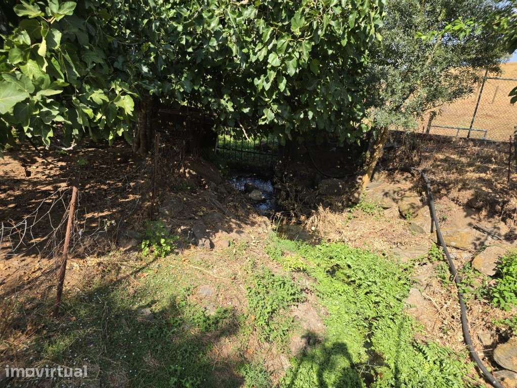 Moradia T3 em Vila Viçosa, com garagem, inserida em lote de 3500 m2 - Grande imagem: 5/29