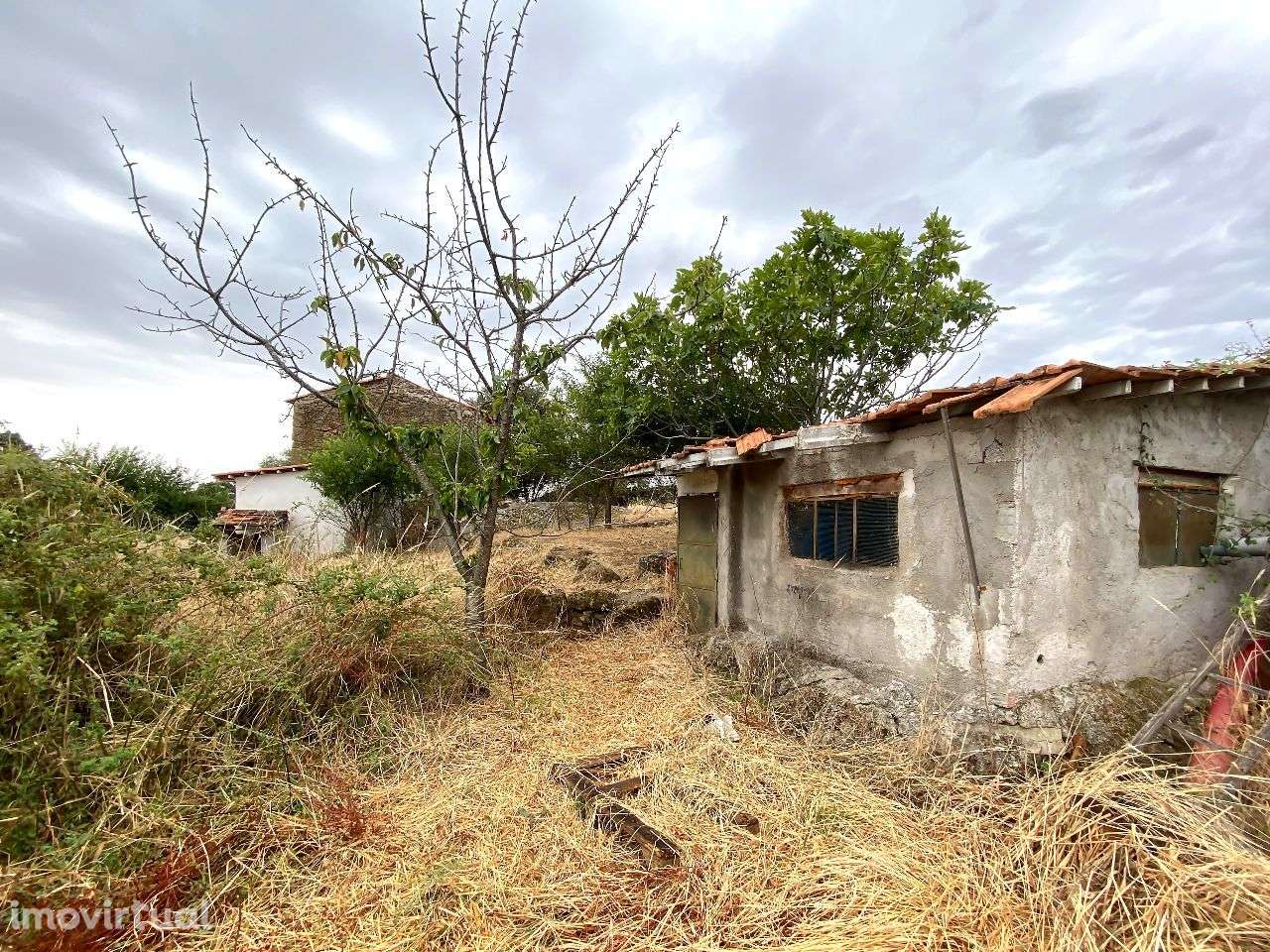 Quinta - Grande imagem: 3/12