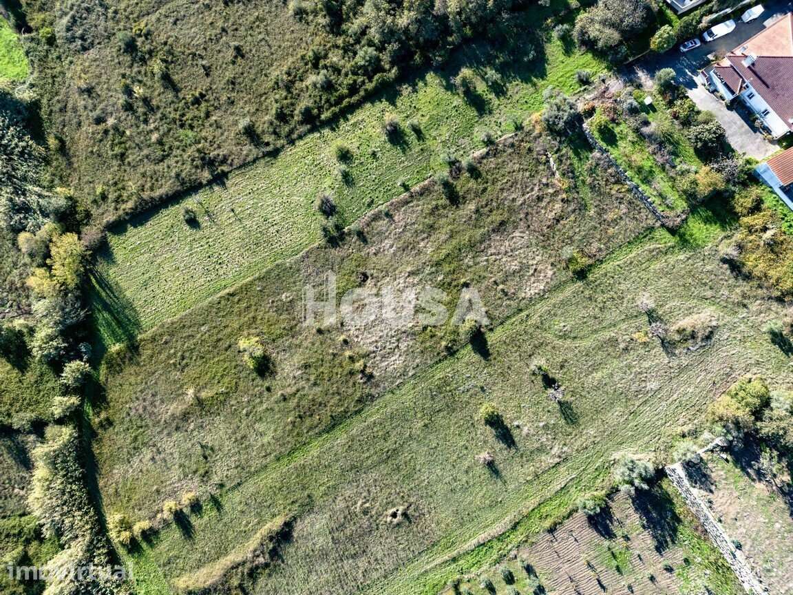 Terreno Rústico com 7.670m² nos Golfeiros – Batalha - Grande imagem: 3/9