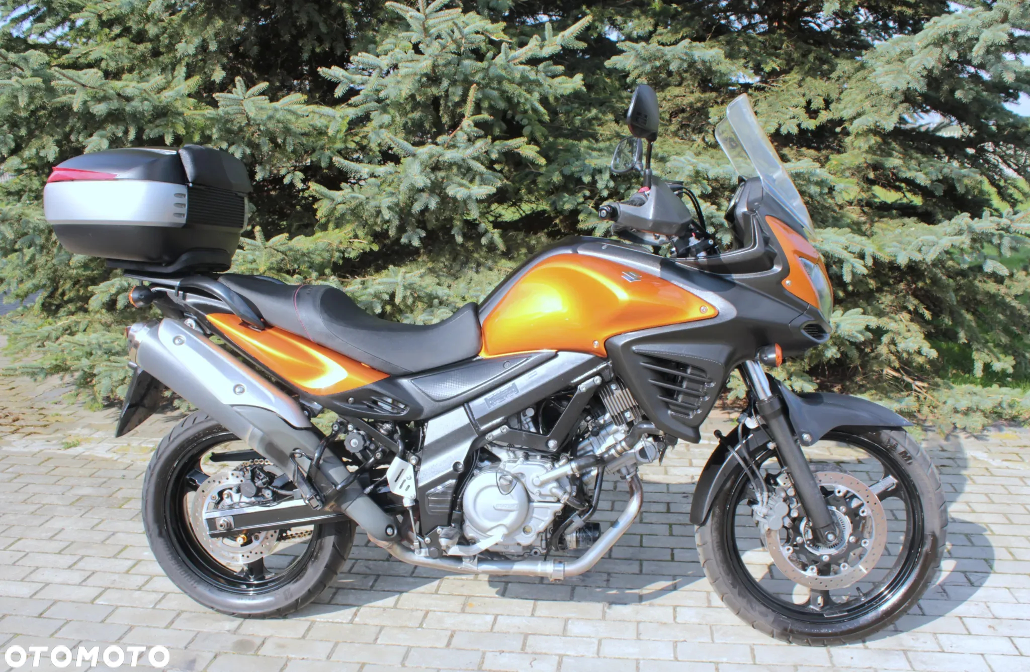 Suzuki DL