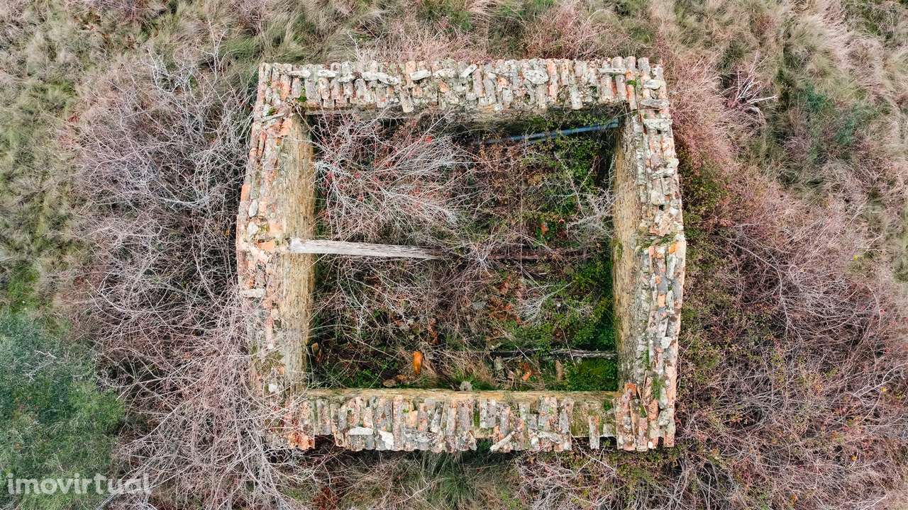 Quinta T0 Venda em Sarzedas,Castelo Branco - Grande imagem: 3/30