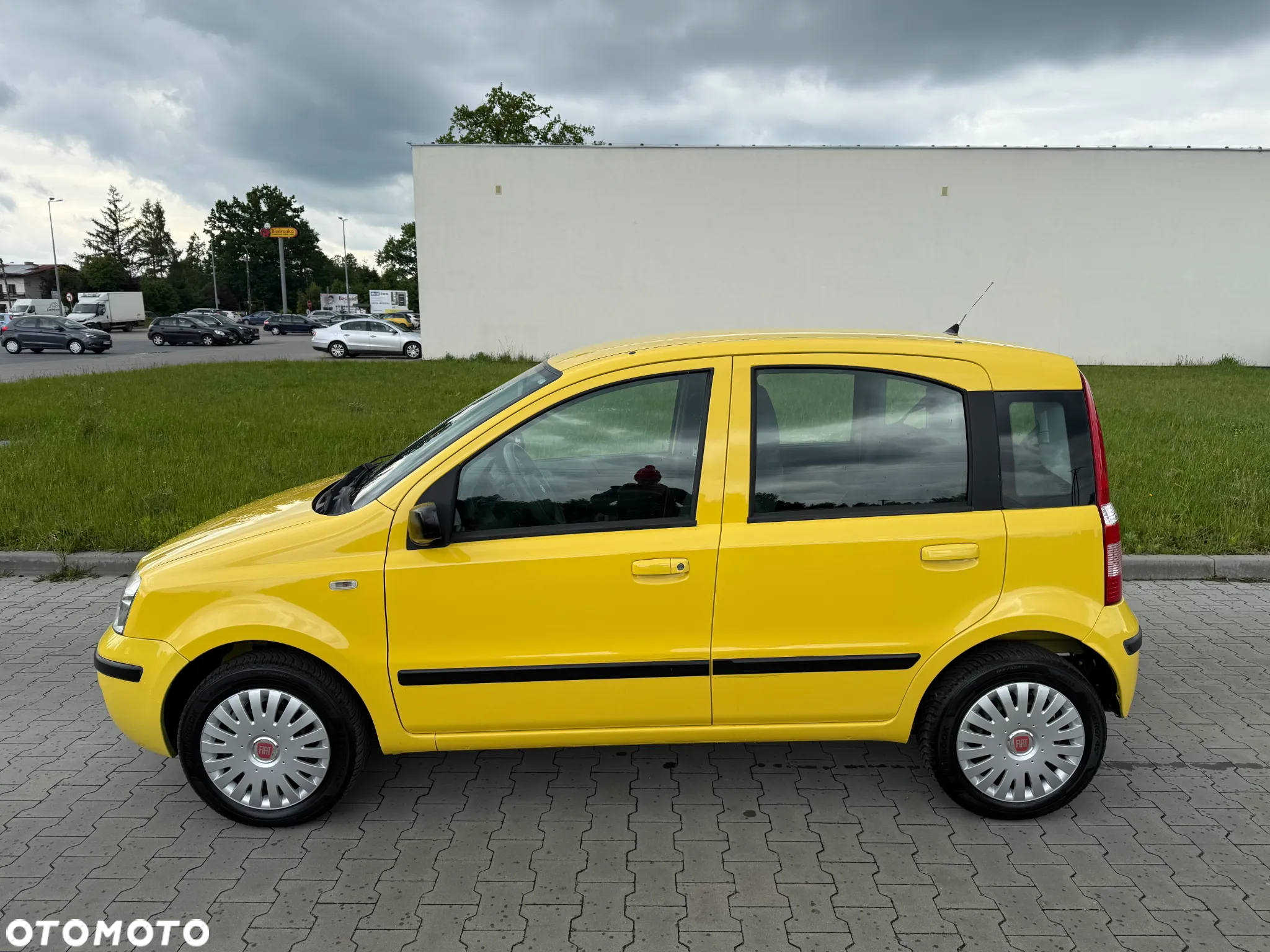 Fiat Panda 1.1 Active - 2