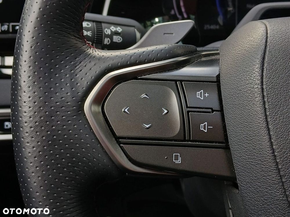 Lexus RX - 39