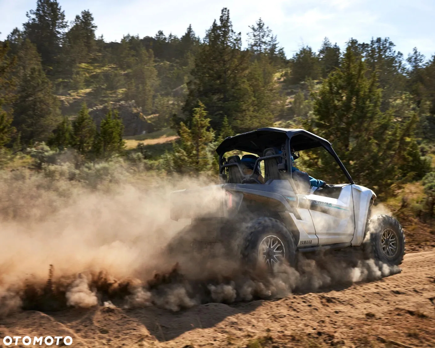 Yamaha Wolverine - 6
