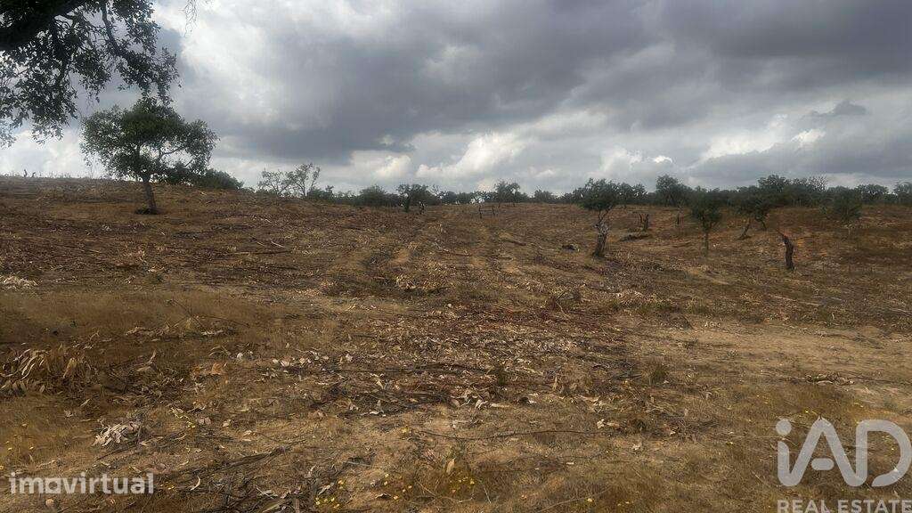 Terreno Agrícola em Abela - Grande imagem: 2/8