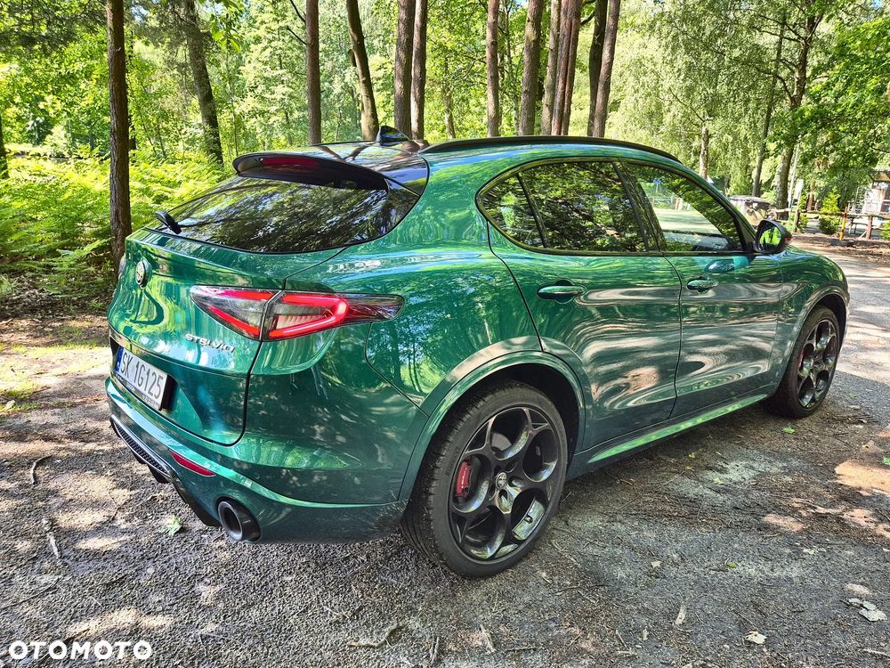 Alfa Romeo Stelvio 2.0 Turbo Tributo Italiano Q4 - 4
