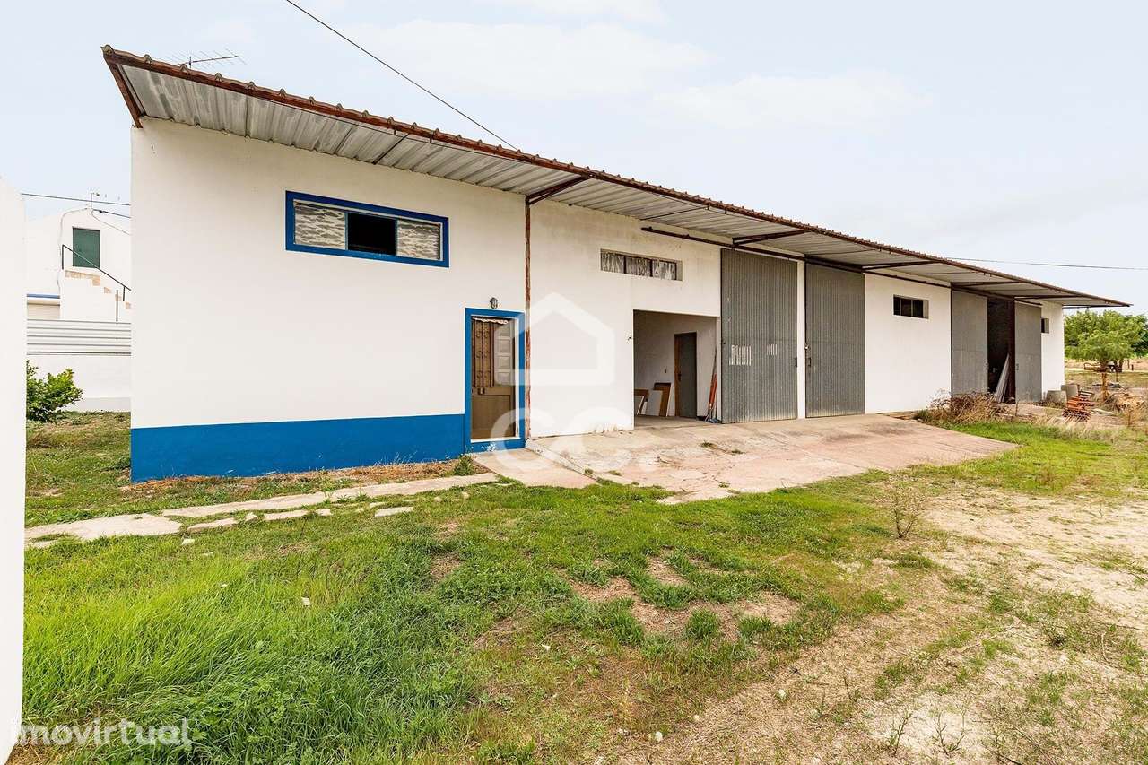 Armazém c/ escritório em lote de 1800m2 | Santana do Campo(Arraiolos) - Grande imagem: 4/26