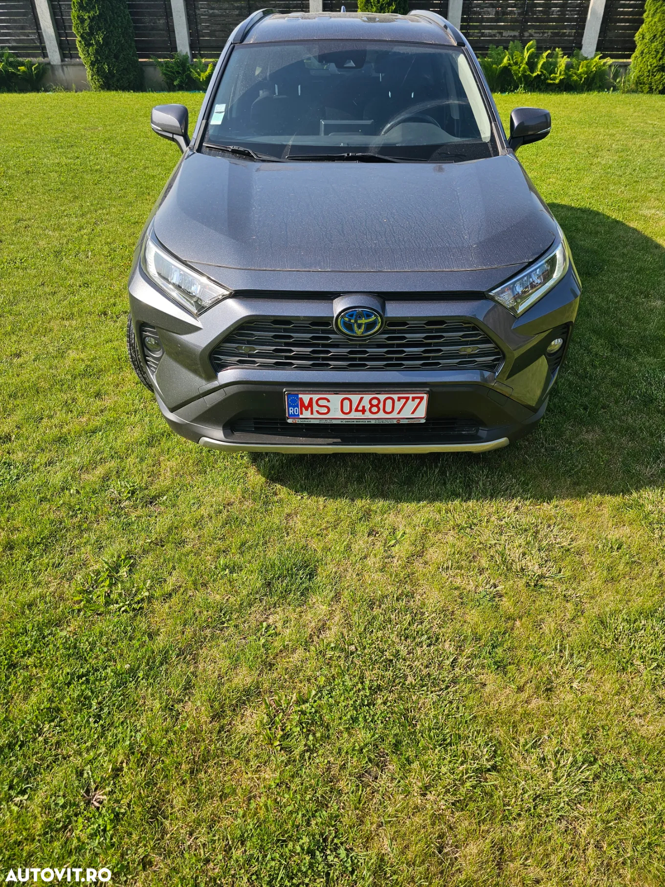 Toyota RAV4 2.5 Hybrid VVT-iE 4x2 Dynamic - 2
