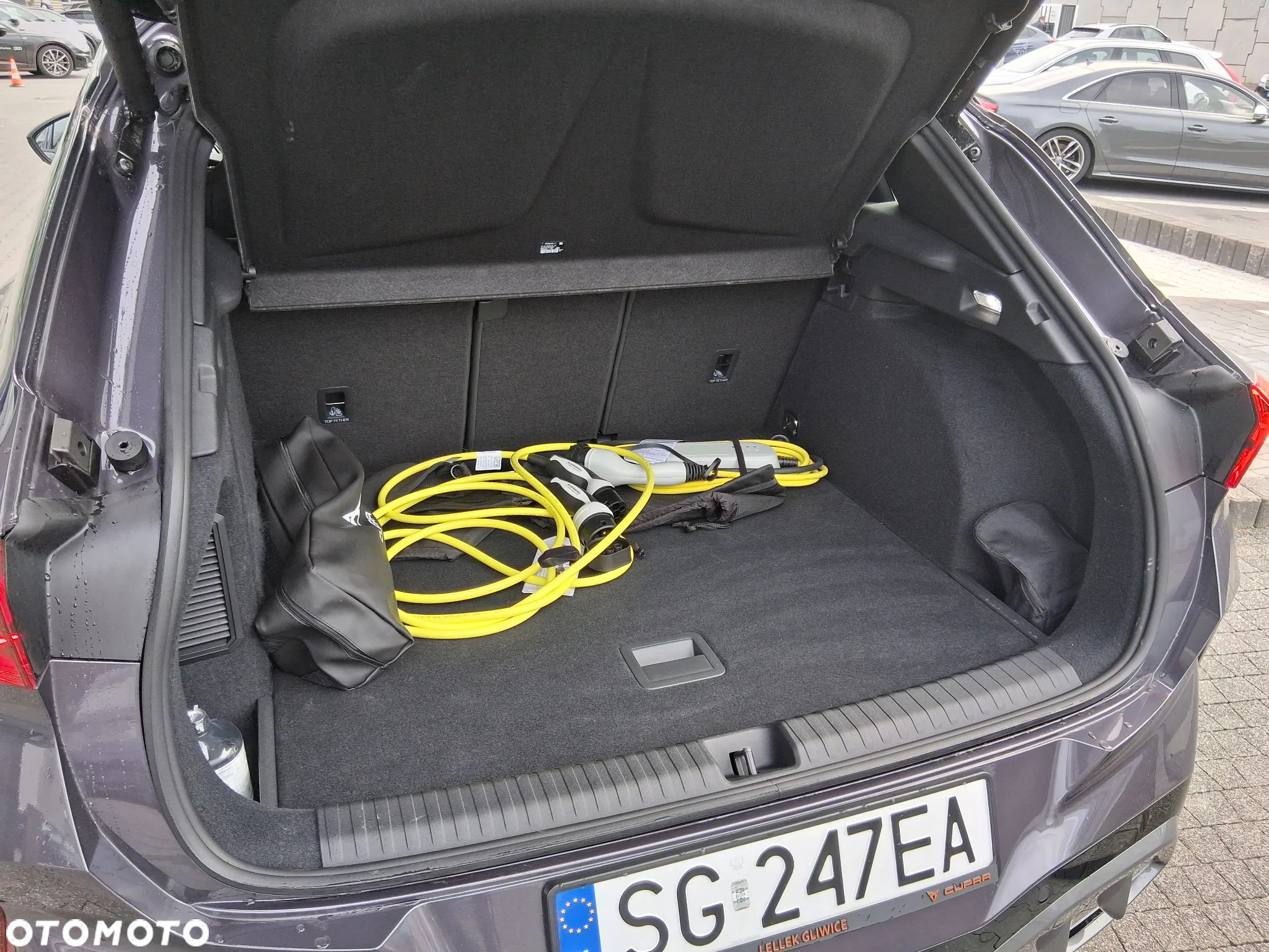 Cupra Terramar - 21