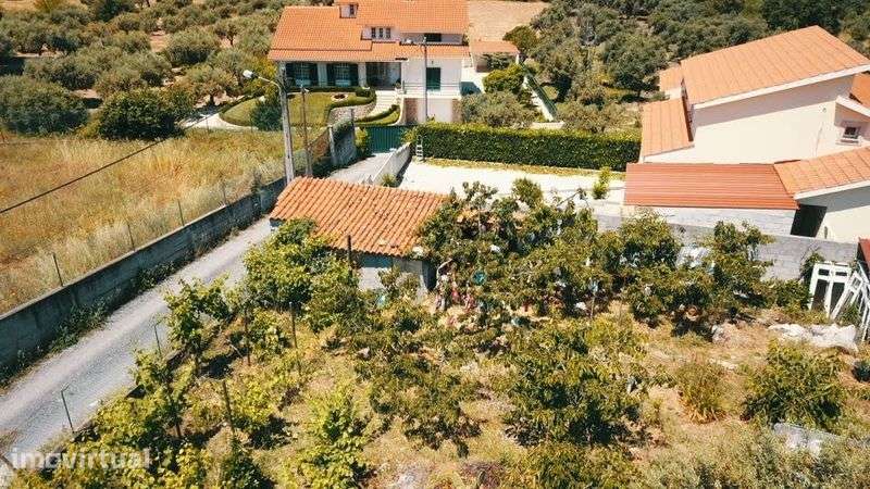 Lote para construção ou quintinha dentro da cidade - 2100m2 - Grande imagem: 2/11