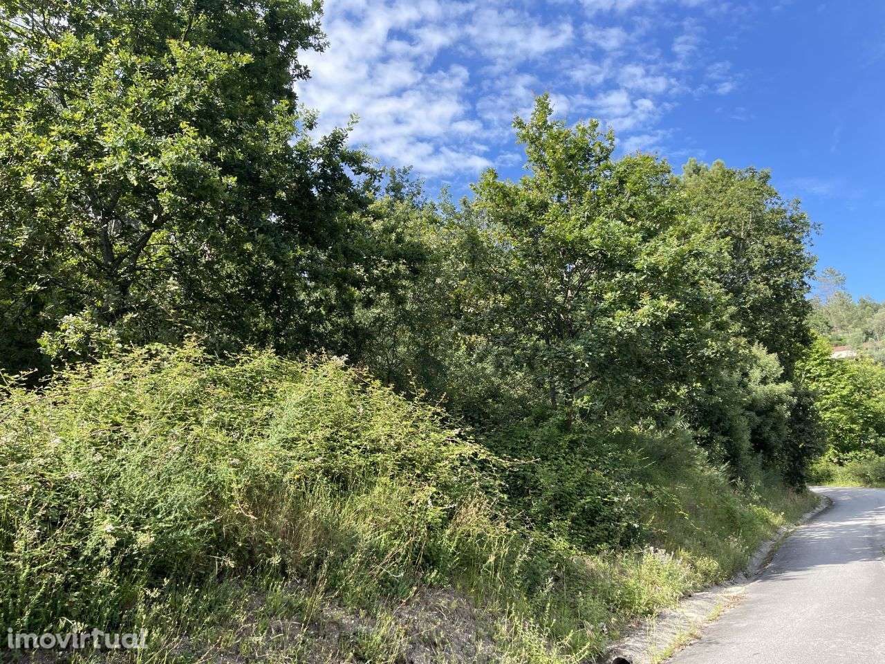 Terreno Rústico com 9000m2 na Póvoa de Lanhoso - Grande imagem: 5/5