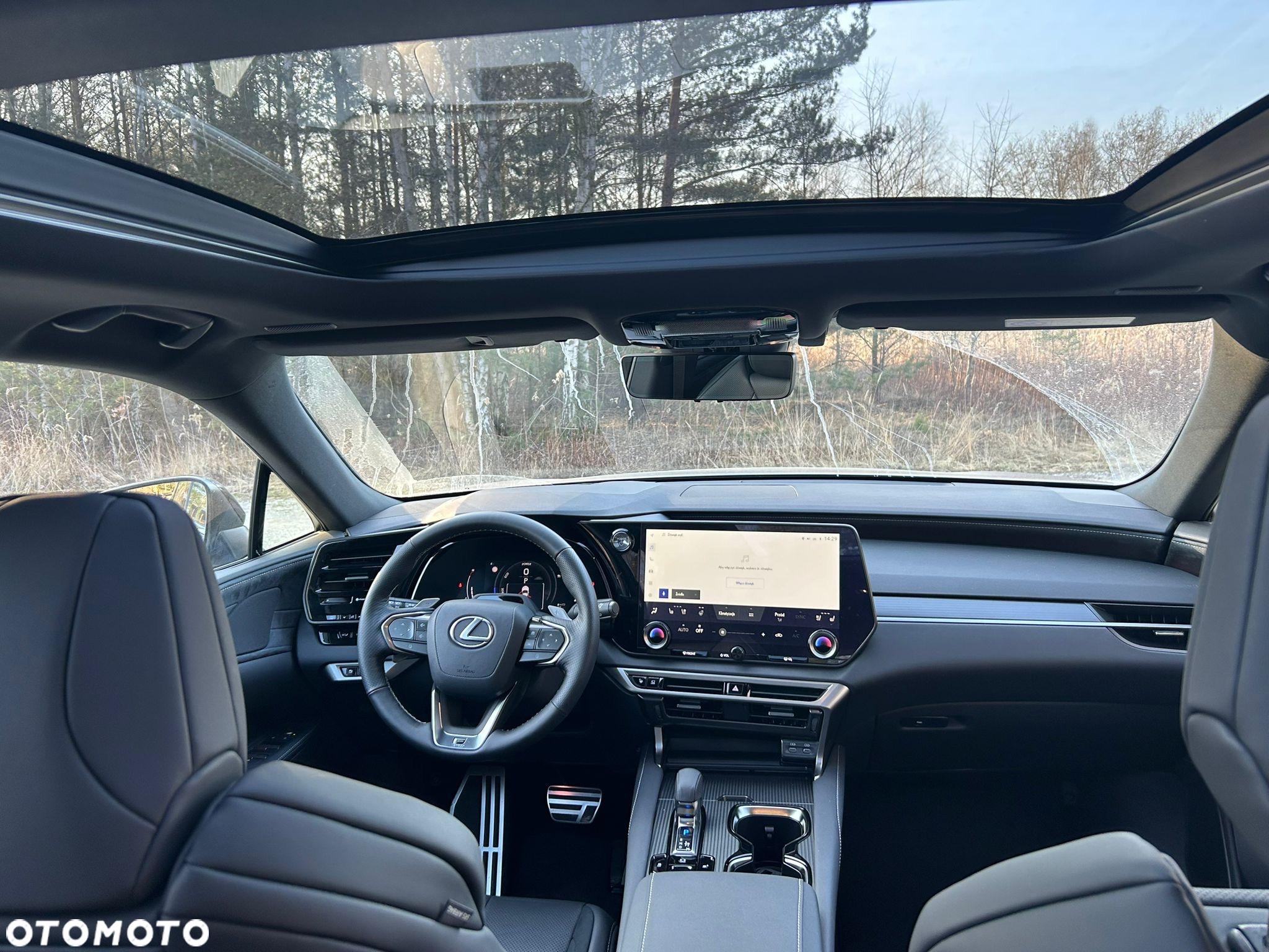 Lexus RX 500h F Sport - 20