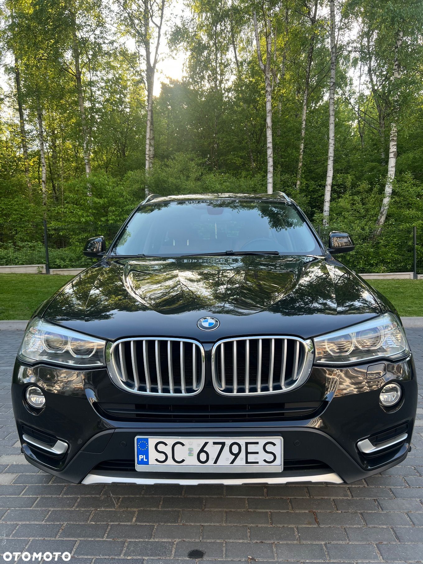 BMW X3 xDrive30d xLine - 1