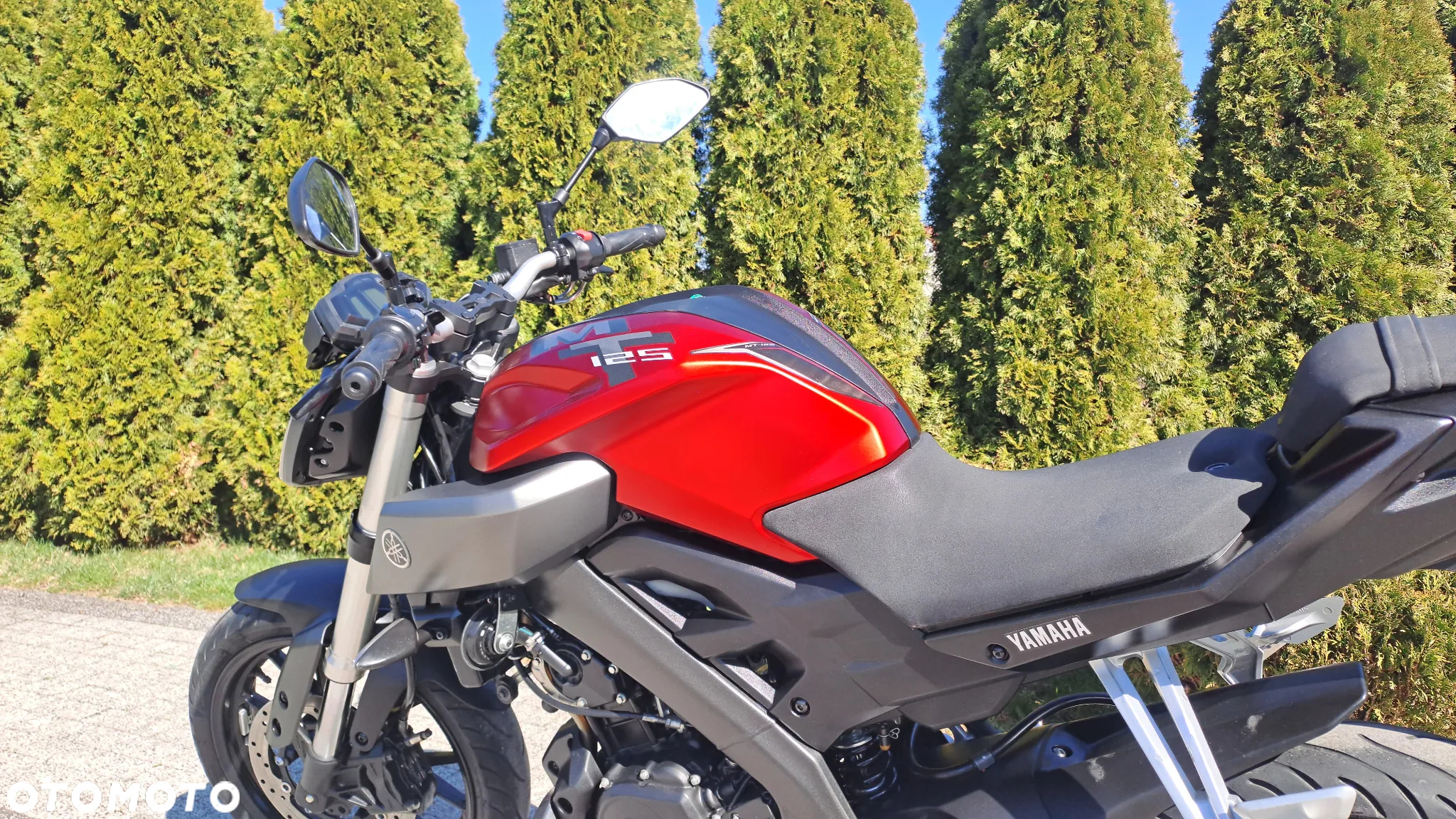 Yamaha MT - 31
