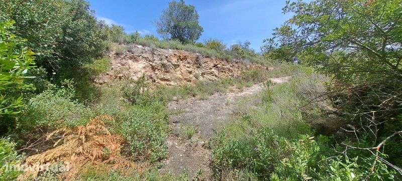Terreno 3.160m2 em Boliqueime (Aroal) - Grande imagem: 4/12